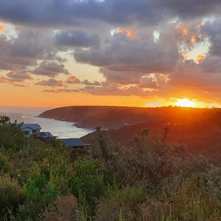 Hakuna Matata Wildernis Esterno foto