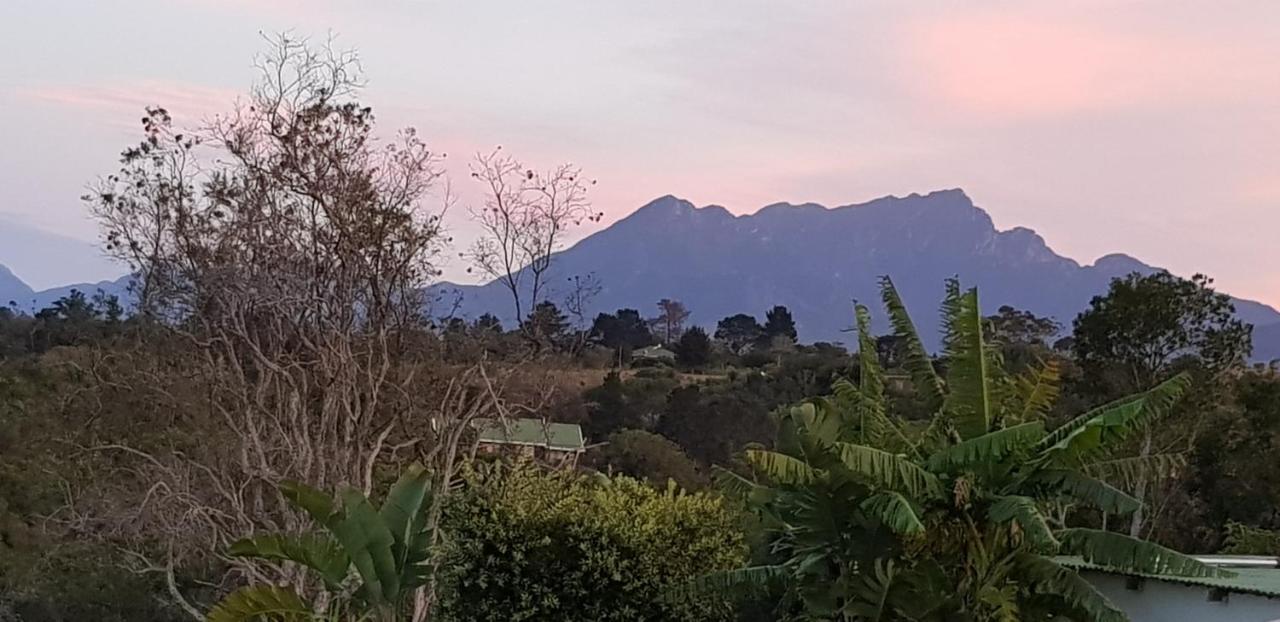 Hakuna Matata Wildernis Esterno foto